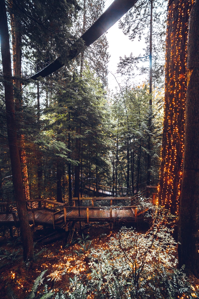 The Living Forest at Capilano Park 