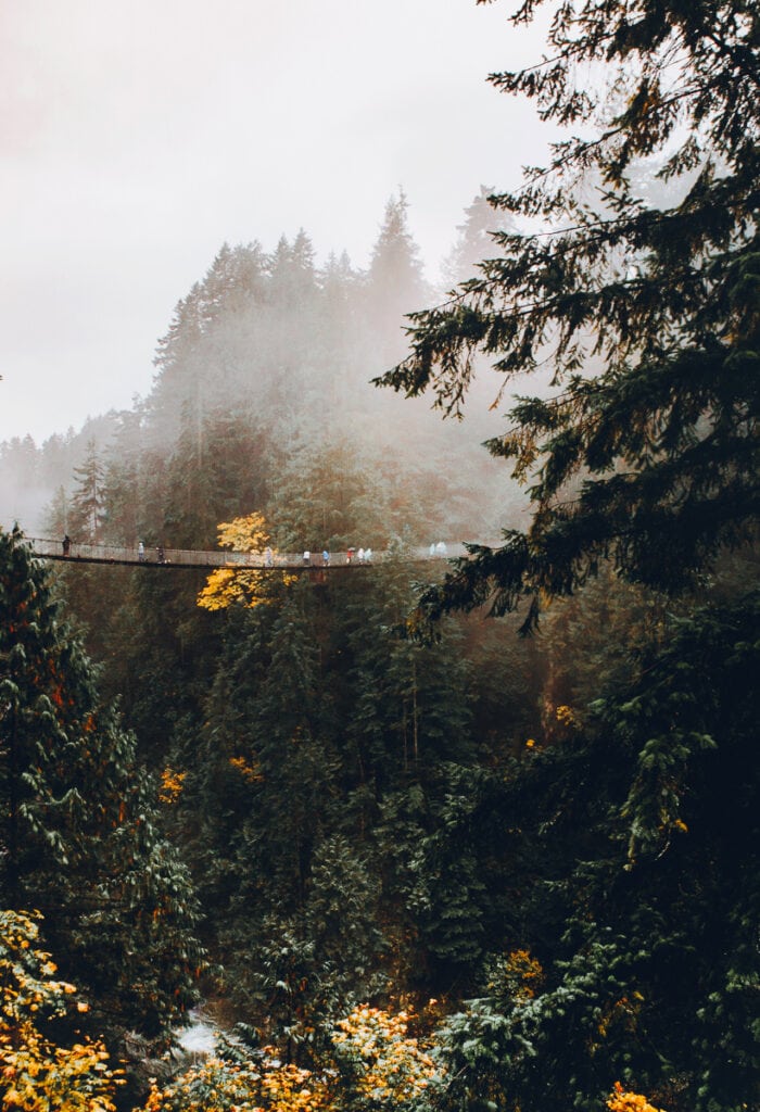 Capilano Suspension Bridge Park Vancouver // A Visitor's Guide