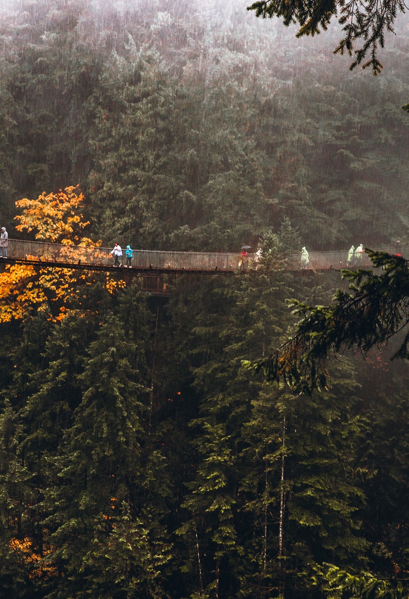 Capilano Suspension Bridge in the Rain