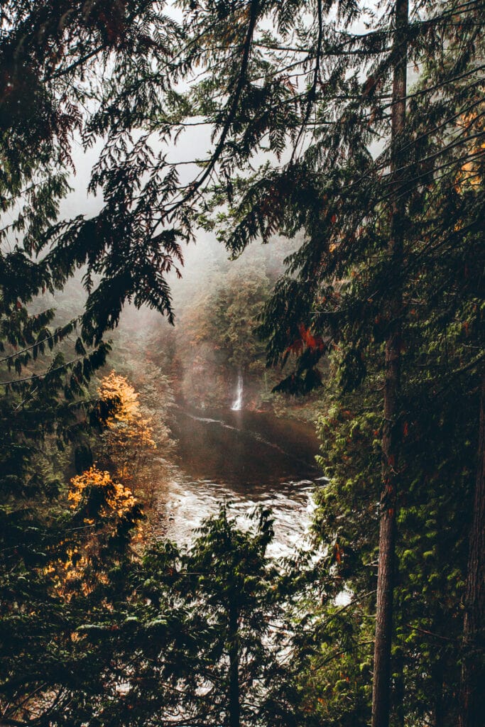 Capilano Suspension Bridge Park