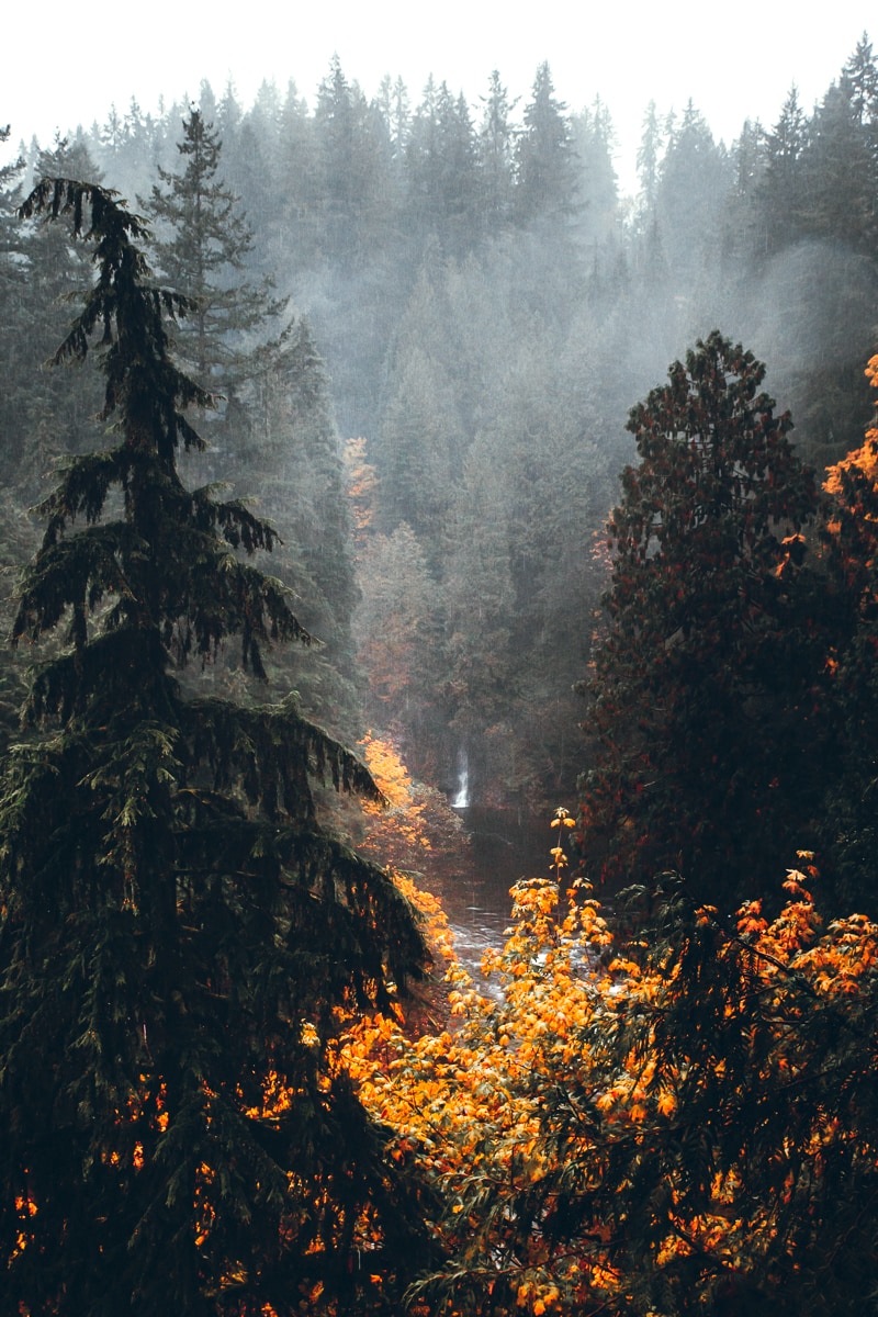 Capilano Suspension Bridge Park 