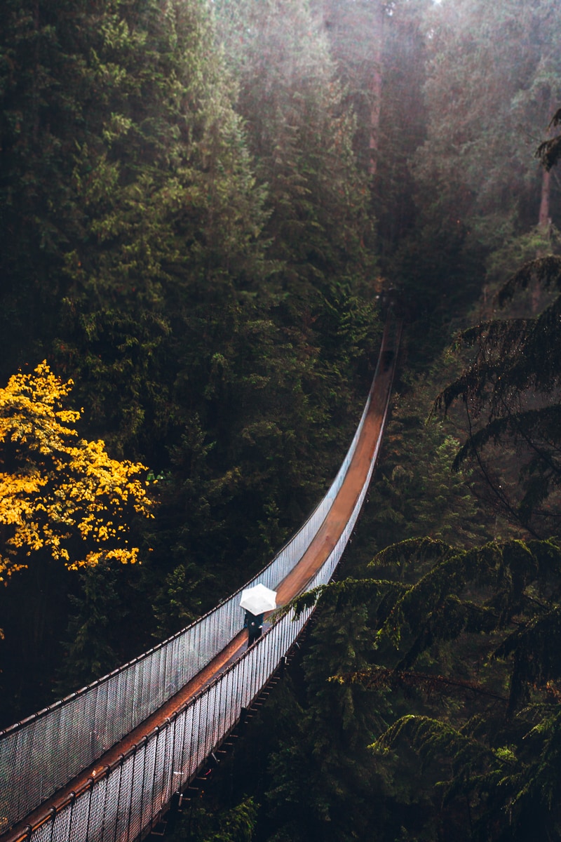 Capilano Suspension Bridge 