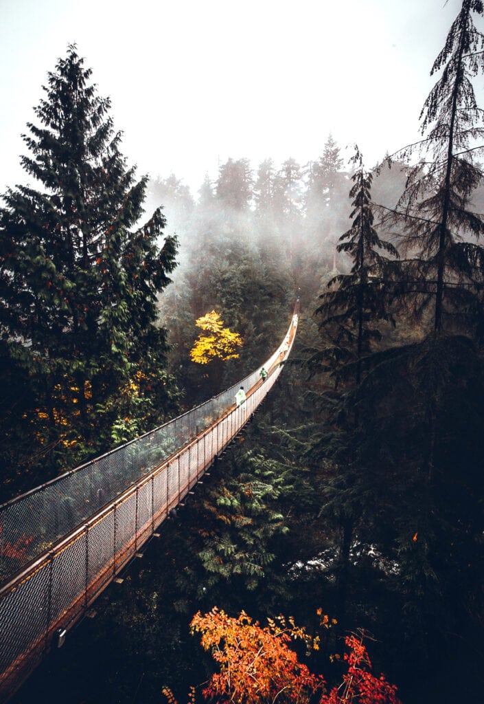 Capilano Suspension Bridge 