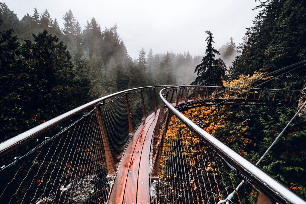 Capilano Suspension Bridge Park Vancouver // A Visitor's Guide