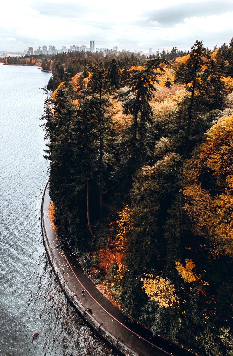 stanley park seawall 