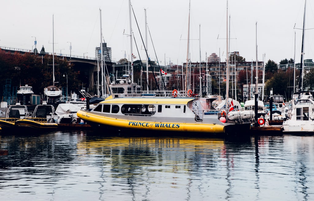 Prince of Whales Boats 