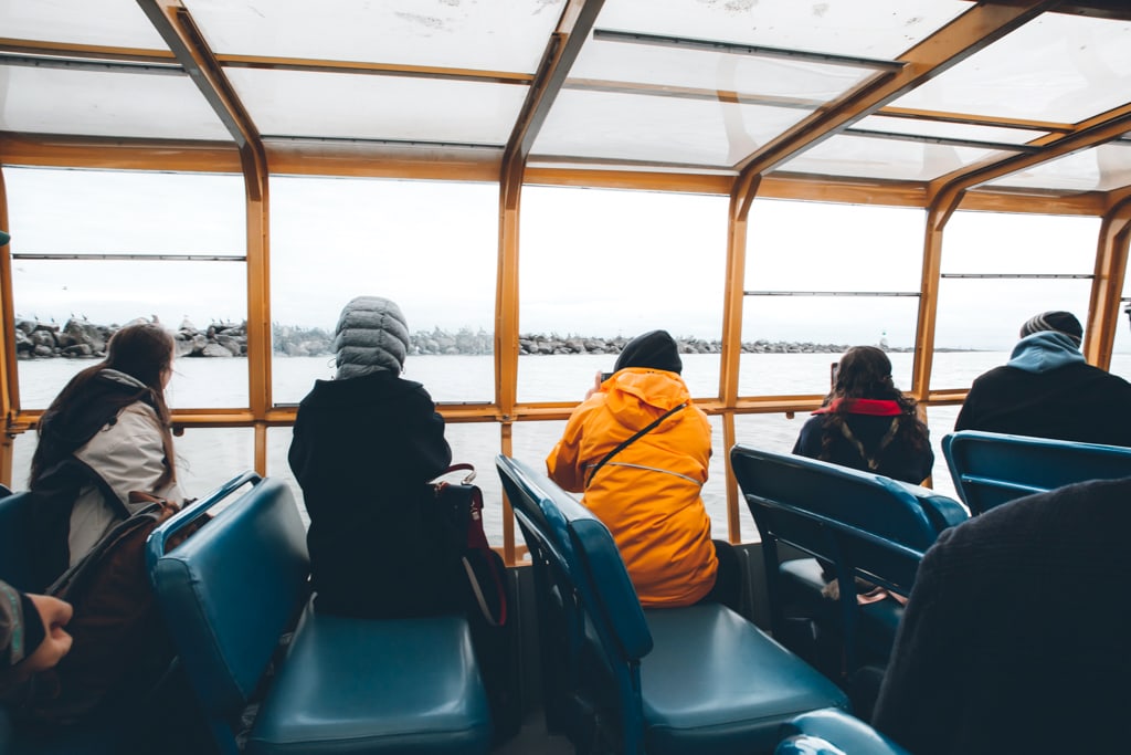 Whale Watching Vancouver