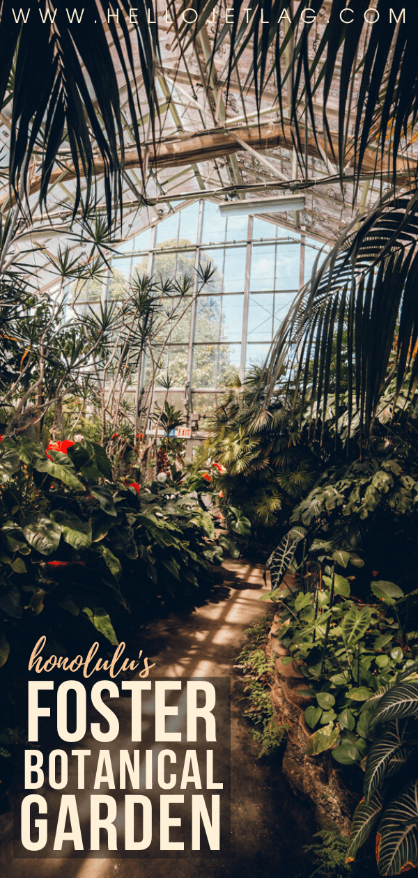 Foster Botanical Garden 