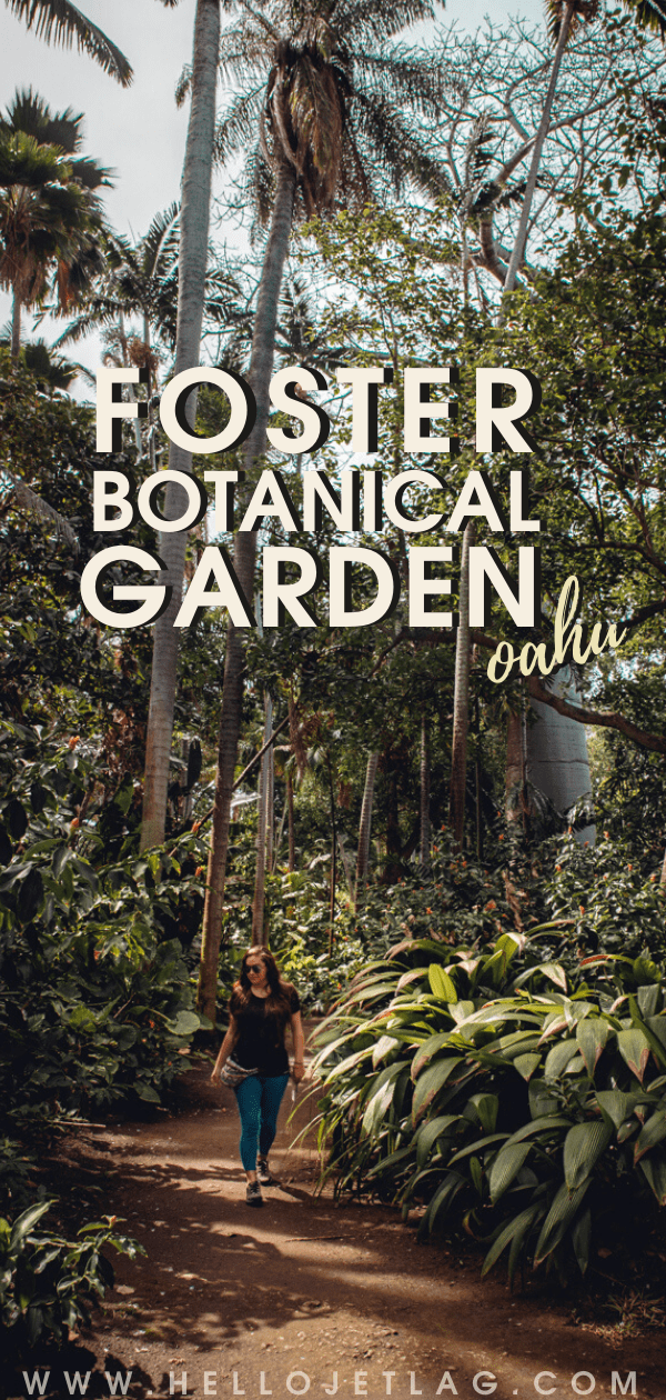 Foster Botanical Gardens 