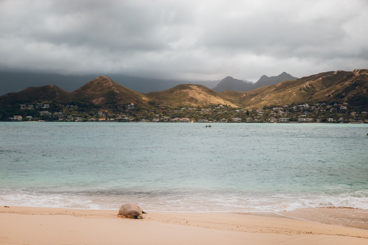 View from Moko Nui 