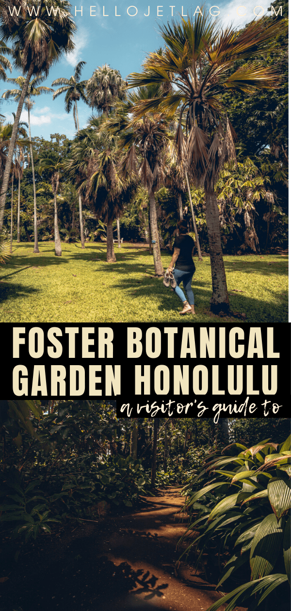 Foster Botanical Garden Honolulu
