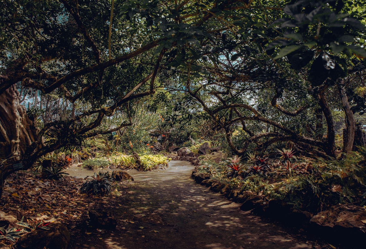 Foster Botanical Garden Hawaii 
