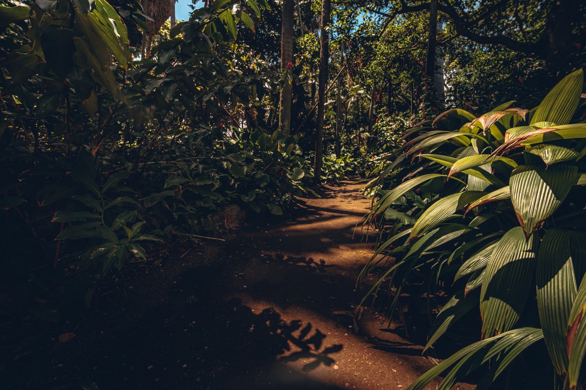 Foster Botanical Gardens 