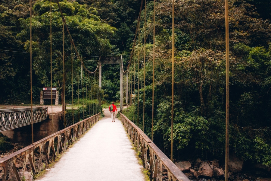 Aguas Calientes to Machu Picchu Hike 