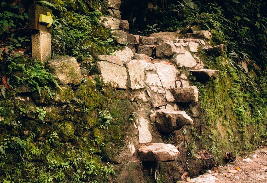 Aguas Calientes to Machu Picchu Hike 