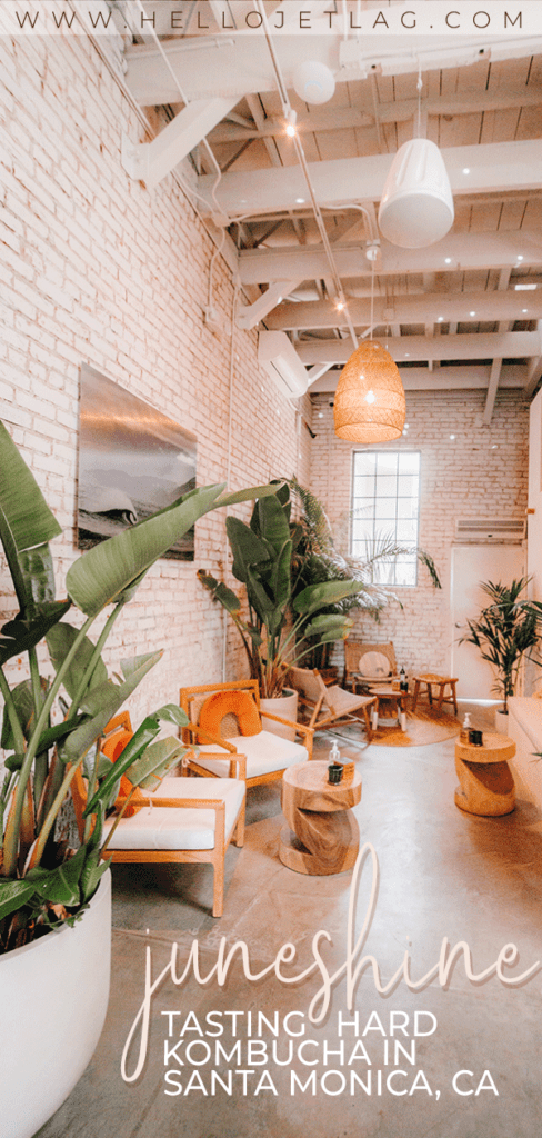 Juneshine is a hard kombucha tasting room in Santa Monica, California. Discover what to expect, how to get there, photos, the flavors / menu and more.