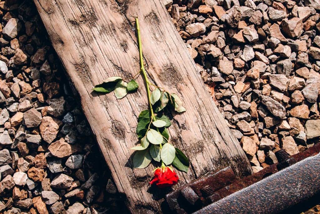 Rose on the train tracks at Birkenau Concentration Camp